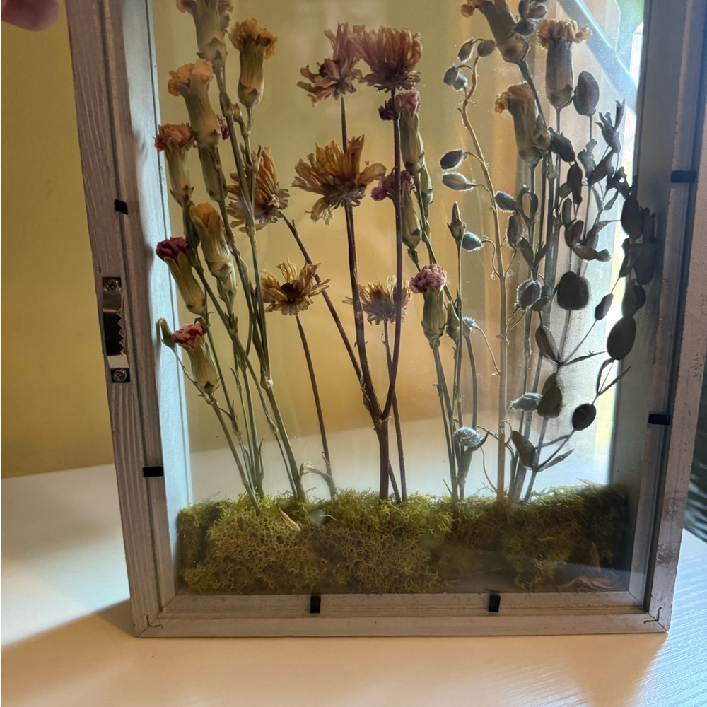 Framed Dried Flower Shadow Box - Yellow and Green Home Accent